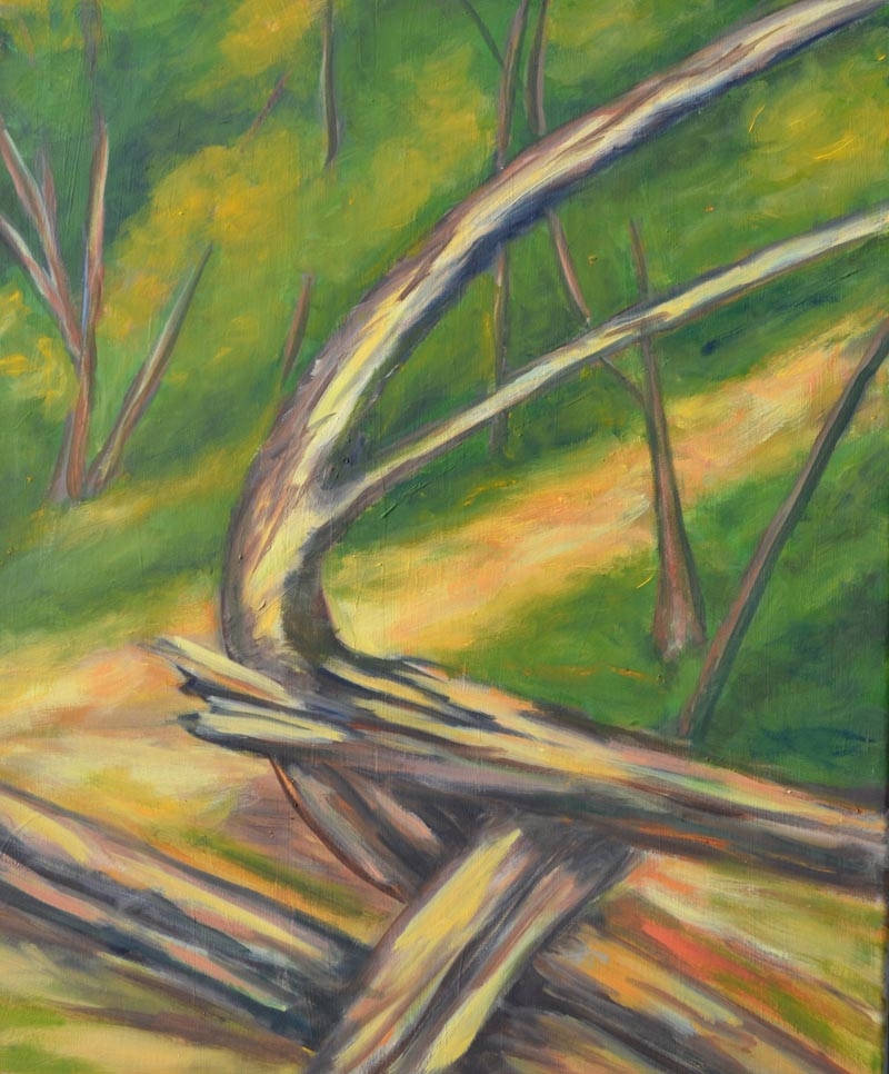 Twisted Trees - Early Spring - oil on canvas - 20 x 24 rs
